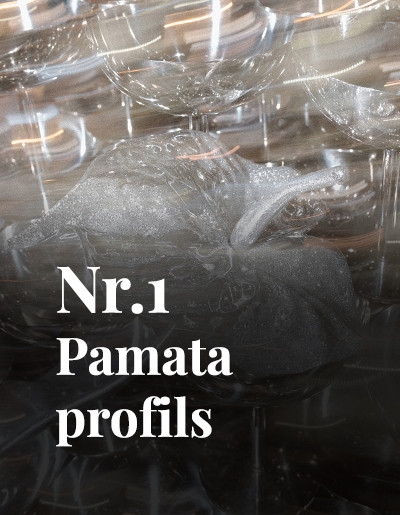 Nr.1 Pamata profils
