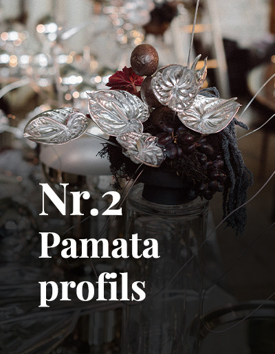 Nr.2 Pamata profils