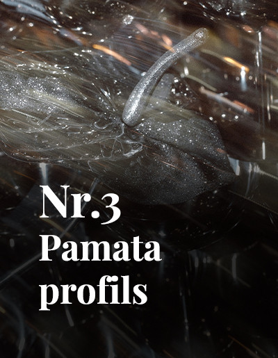 Nr.3 Pamata profils