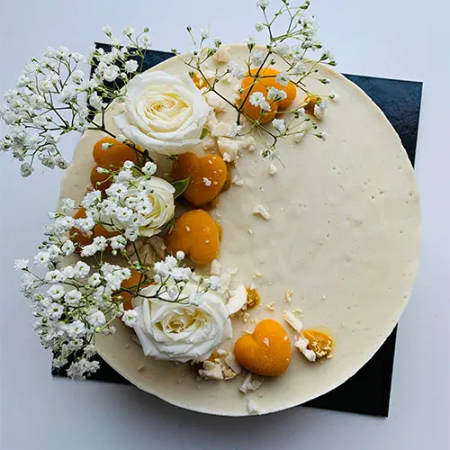 Vegacakes