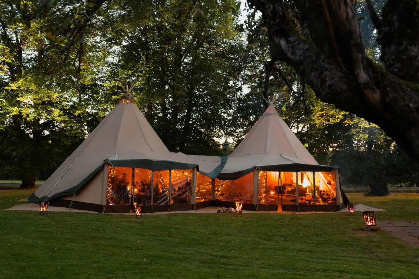 /profiles_advertise/DAYDREAMERS event tents